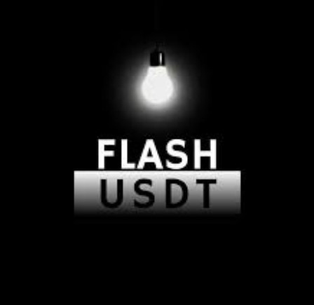 FLASH USDT SOFTWARE 2025