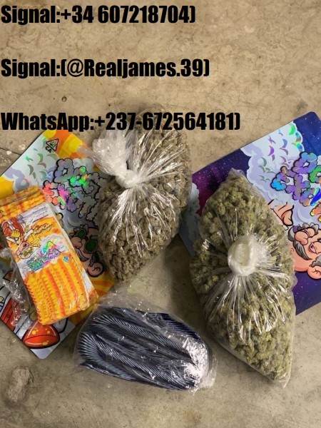 Signal:(@Realjames.39)Buy Hemofarm Belbien 10mg Tablets Online/Buy Clonazepam 2mg Tablets Online/Buy Farmapram 2mg (Alprazolam) Online/Buy Xanax 2mg XR Tablets Online