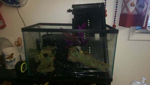 10 gal fish tank 25