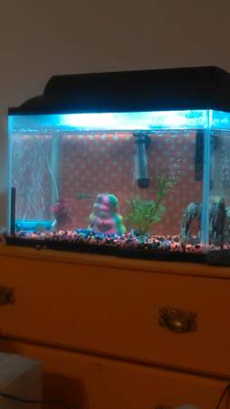 10 gallon fish tank (Missouri valley)