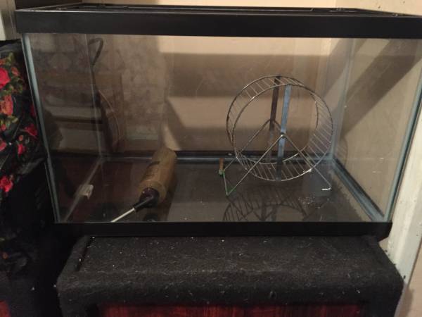 10 gallon hamster set up (Redford)