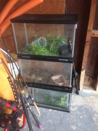 10 Gallon Reptile Tanks with Screen LID (United States)