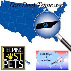 100 FREE service for LostFound Pets (TN)