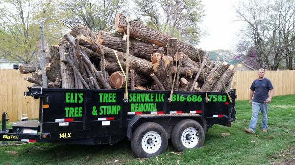 10004TREE CARE SERVICES good deals dont last forever call now (INDEPENDENCE)