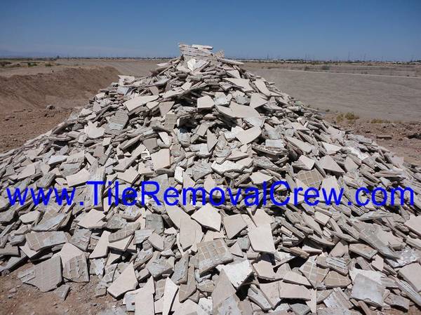 1002610026100261002610026 TILE REMOVAL CREW (All Areas)