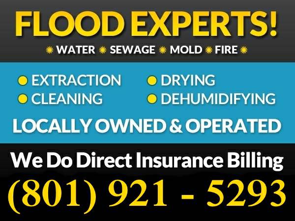 10048Quality Water Damage Contractor