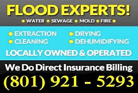 10152 Best Choice Experienced Water Extraction Service 10152 Call Us First (Salt Lake City)