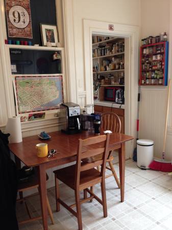 1050  Unfurnished room in a nice furnished apartment (mission district)