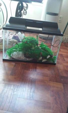 10gal aquarium 20 with decor and plants (dallas)