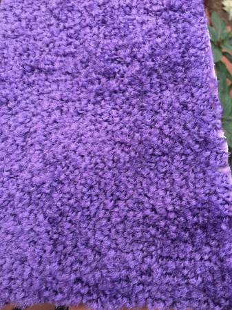 1200 sq. ft. of Purple Carpet