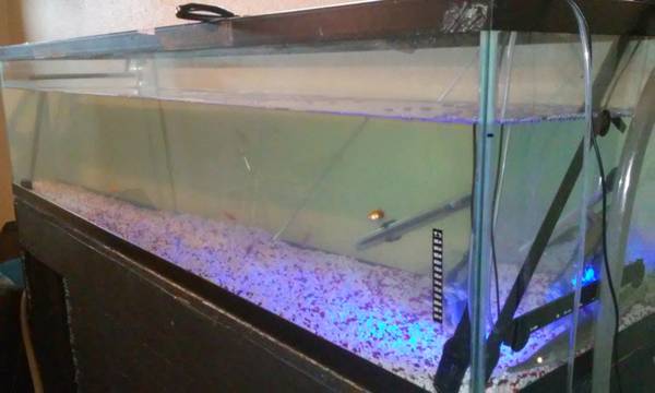 125 gallon fish tank 250 o.b.o