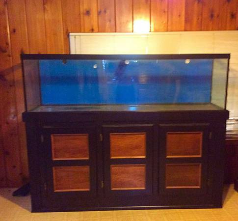 125 Gallon Tank with Stand 400 (Rock Hill SC)