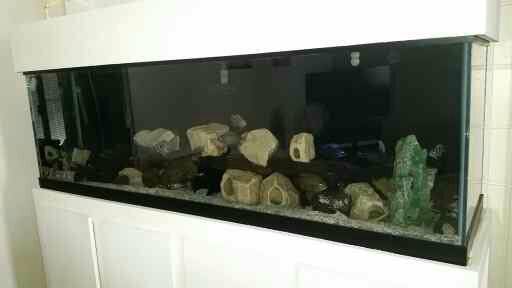 125g fish tank aquarium obo (honolulu)
