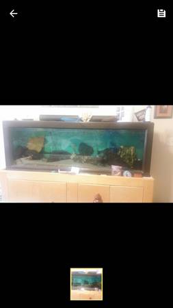 125gallon fish tank (caldwell)