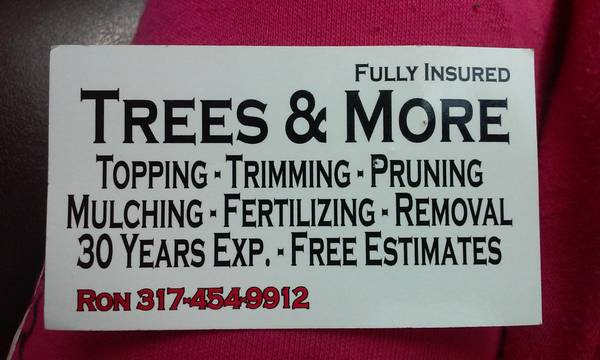 127796127809127796 SUMMER SPECIAL ON TREE WORK NOW 127796127809amp (SERVING ALL OF INDIANA)