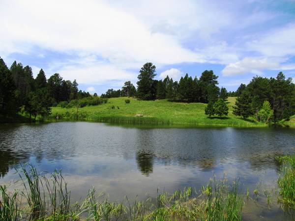 1,300 Acre Ranch in Black Hills (NW of Four Corners, WY)