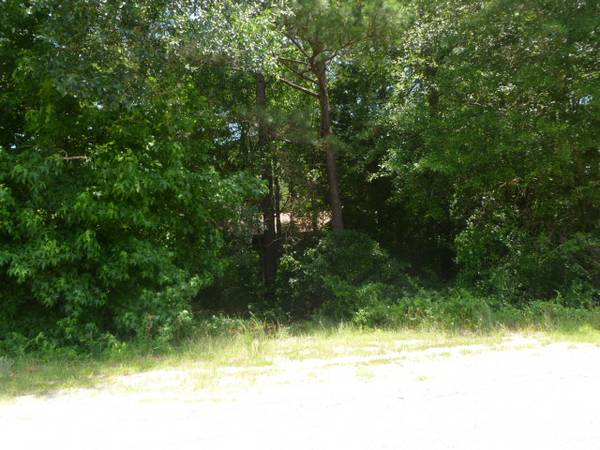 150000  29 Acre Investment Opportunity (Newberry SC)