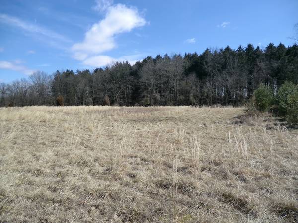 16 secluded acres ,  build your dream home