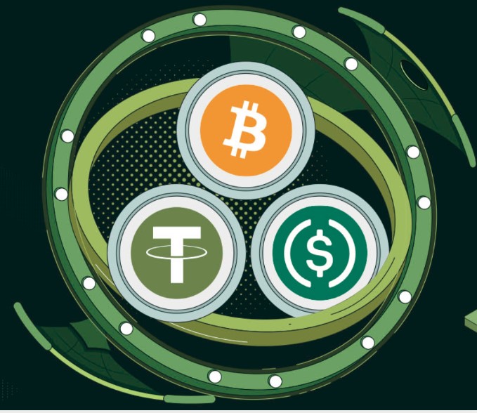  Experience Flash USDT