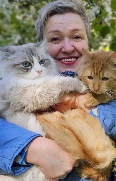 Best Siberian Kitten for Sale