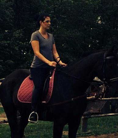 19 yr old DressageTrail HanoverianTB gelding