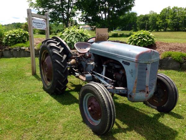 1951 Ferguson tractor