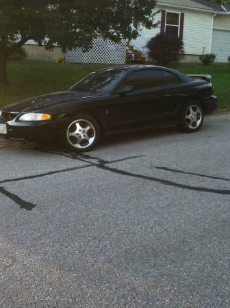 1996 SVT cobra mustang