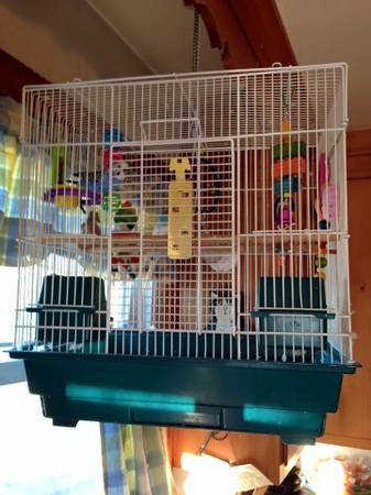 2 PARAKEETS EVERYTHING INCL (Mechanicsville)