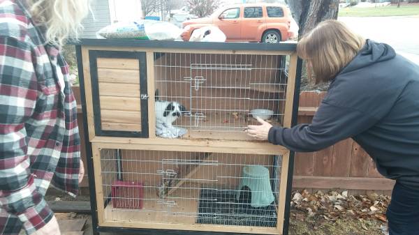 2 rabbit  bunny with cage. (Nampa)