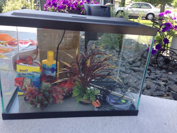 20 gallon fish tank with all accessories (Oakdale)