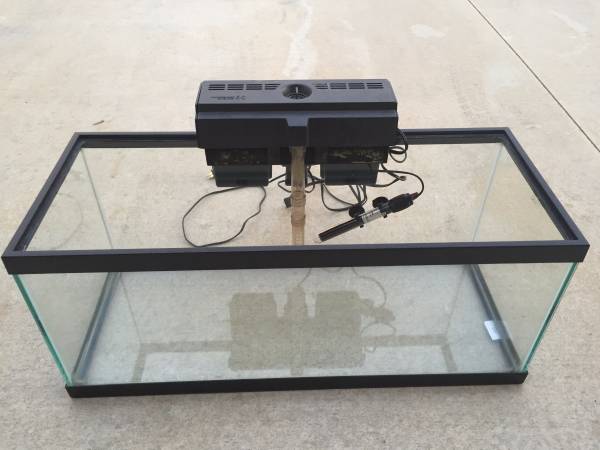 20 Gallon Long Fish Tank Setups 70 (Meridian)