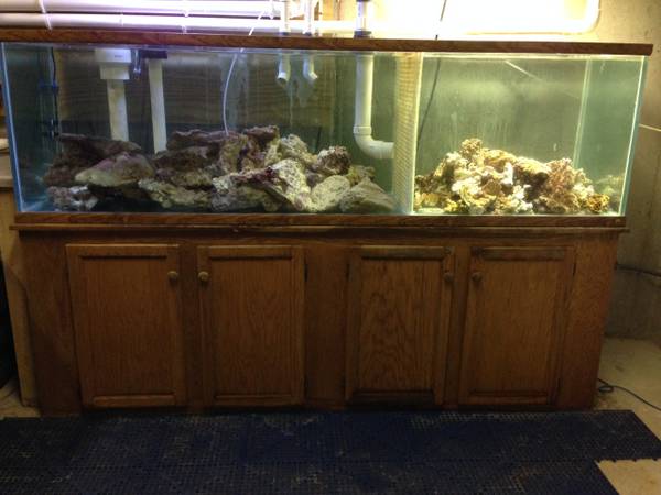 200 GALLON OCEANIC TANK WITH STAND (Anderson)