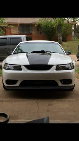 2003 mach 1 for saletrade