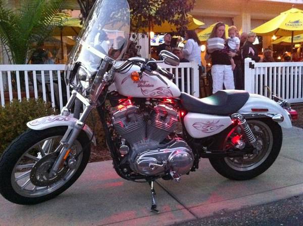 2005 Harley Davidson Sportster 883 Low