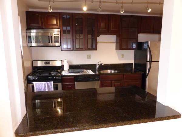 1250  Move right in.  Alexandria office Suites for rent (Alexandria)
