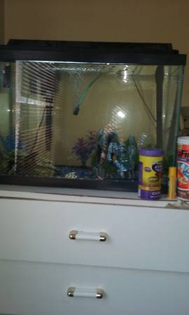 20gallon fish tank