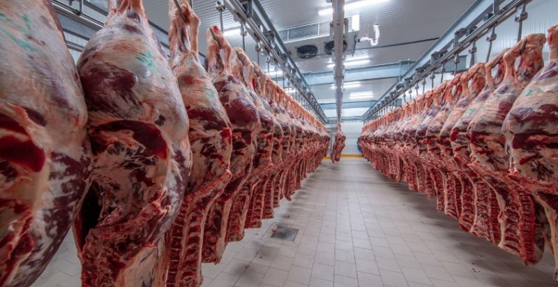 Bovine Beef wholesale, Wholesale Frozen Chicken