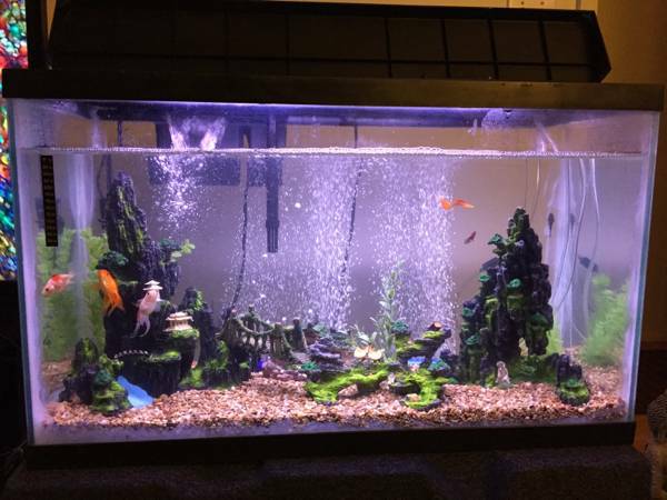 25 Gallon fish tank amp 10 gallon aquarium WITH EVERYTHING YOU NEED (Hilo)