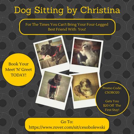 25.00night In Home Dog Sitter Your Pups Next Vacation 9829 (MS Gulf Coast)