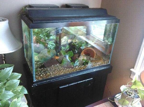 29 Gallon Fish Tank (linwood pa)