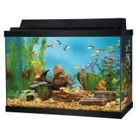 29 gallon fish tank (Shawnee,Ks)