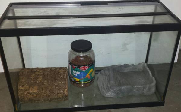 29 Gallon tank for turtle tortoise frog hermit crab (Thornton)