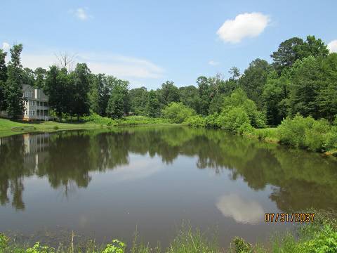 3 Beautiful lots on Pond (Irmo)