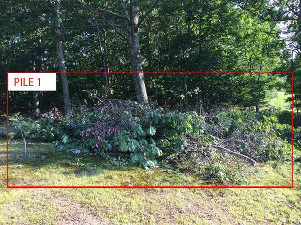 3 Piles of Brush to Be Hauled ASAP (Windham NH)