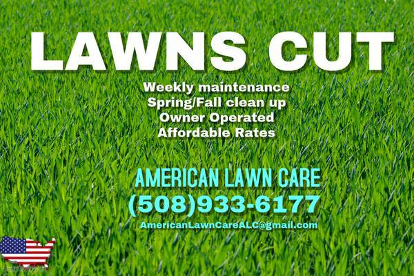 30 ANY LAWN CUT