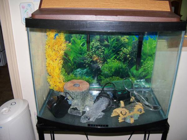 30 Gallon Bow Front Tank