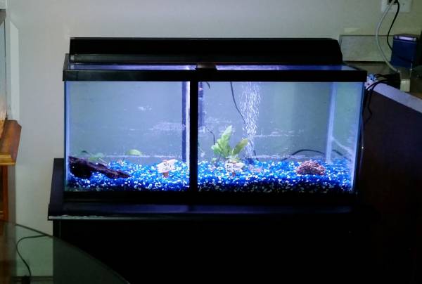 30 gallon long with glass toplight and stand (SCS)