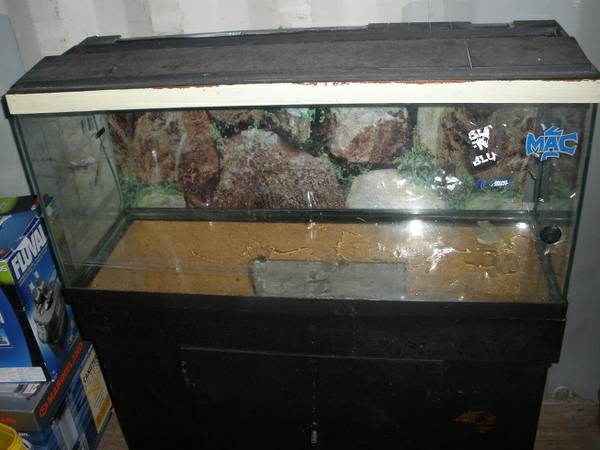 30 Gallon Tank and Stand For Sale (Easton)