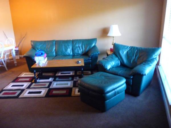 Looking to rent (Murfreesboro)