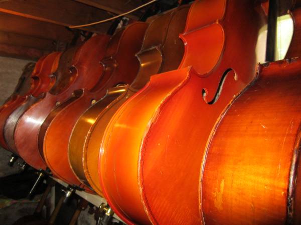 34 cello